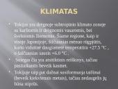 Tokijas. Japonija 13 puslapis