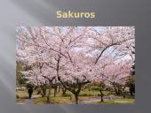 Tokijas. Japonija 14 puslapis