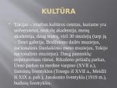 Tokijas. Japonija 20 puslapis