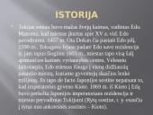 Tokijas. Japonija 4 puslapis