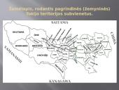 Tokijas. Japonija 8 puslapis