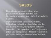 Tokijas. Japonija 10 puslapis