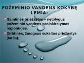 Vandens svarba ir vandens ištekliai Lietuvoje 13 puslapis
