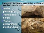 Vandens svarba ir vandens ištekliai Lietuvoje 14 puslapis