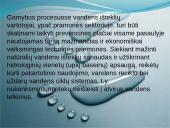 Vandens svarba ir vandens ištekliai Lietuvoje 16 puslapis