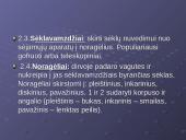 Žemės ūkio padargai 11 puslapis