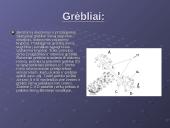 Žemės ūkio padargai 17 puslapis