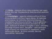 Žemės ūkio padargai 3 puslapis