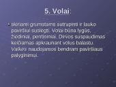 Žemės ūkio padargai 6 puslapis