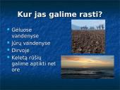 Kas yra žieduotosios kirmėlės?  4 puslapis