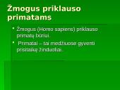 Žmogaus evoliucija ir raida 2 puslapis