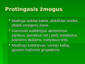 Žmogaus evoliucija ir raida 13 puslapis