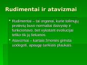 Žmogaus evoliucija ir raida 15 puslapis