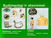 Žmogaus evoliucija ir raida 16 puslapis