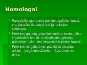 Žmogaus evoliucija ir raida 17 puslapis