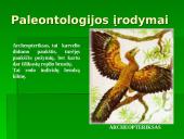 Žmogaus evoliucija ir raida 19 puslapis