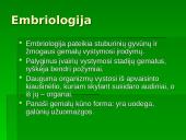 Žmogaus evoliucija ir raida 20 puslapis