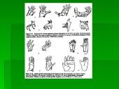 Žmogaus evoliucija ir raida 4 puslapis