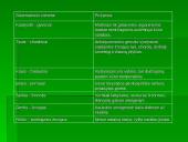 Žmogaus evoliucija ir raida 5 puslapis