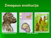 Žmogaus evoliucija ir raida 6 puslapis