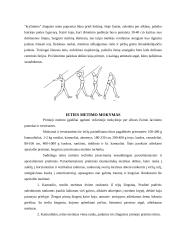 Ieties metimo technika 6 puslapis