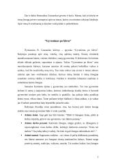 Romualdas Granauskas (jo gyvenimas ir kūryba) 2 puslapis