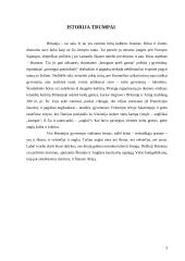 Anglijos etiketas 3 puslapis