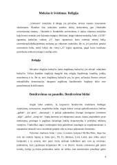 Anglijos etiketas 4 puslapis