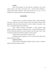 Anglijos etiketas 6 puslapis