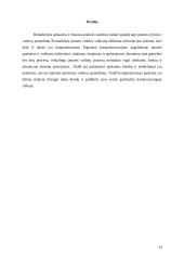 Įmonių apskaitos ir finansų sistemos 13 puslapis