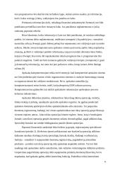 Įmonių apskaitos ir finansų sistemos 6 puslapis