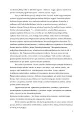 Įmonių apskaitos ir finansų sistemos 7 puslapis