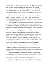 Įmonių apskaitos ir finansų sistemos 9 puslapis