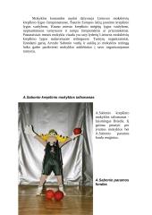 Arvydas Sabonis 16 puslapis