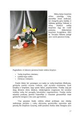 Arvydas Sabonis 17 puslapis