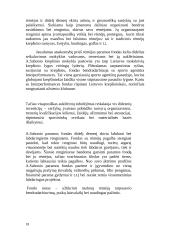 Arvydas Sabonis 18 puslapis