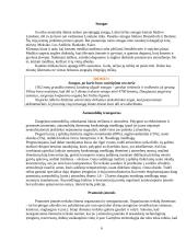 Atmosferos oro tarša ir gyventojų sveikata 4 puslapis