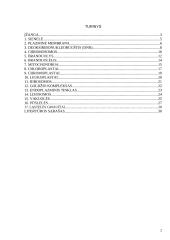 Augalinės ląstelės sienelė 2 puslapis