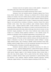 Augalinės ląstelės sienelė 18 puslapis