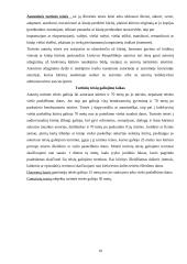 Autorinių ir gretutinių teisių apsauga 8 puslapis