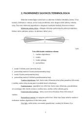 Baidarių irklavimo technikos mokymas 3 puslapis