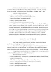 Baidarių irklavimo technikos mokymas 5 puslapis
