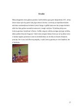 Beisbolas 11 puslapis