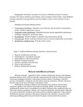 Bendrieji ir didaktikos principai 6 puslapis