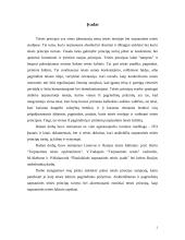 Bendrieji tarptautinės teisės principai 2 puslapis