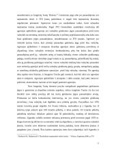 Bendrieji tarptautinės teisės principai 11 puslapis