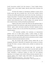 Bendrieji tarptautinės teisės principai 12 puslapis