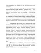 Bendrieji tarptautinės teisės principai 13 puslapis