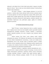 Bendrieji tarptautinės teisės principai 16 puslapis