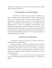 Bendrieji tarptautinės teisės principai 17 puslapis